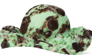 Mint Moose Tracks Ice Cream