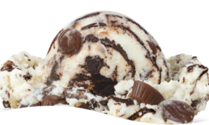 Moose Tracks Ice Cream