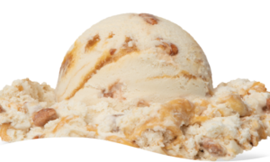 Praline Pecan Ice Cream