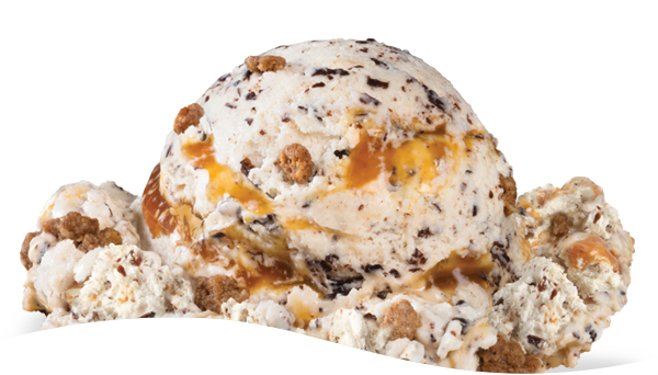 Oatmeal Cookie Craving Ice Cream