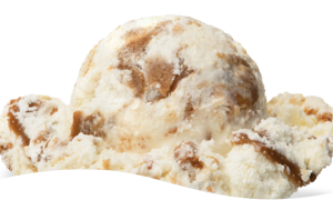 Cookie Butter Craze Hershey's Ice Cream