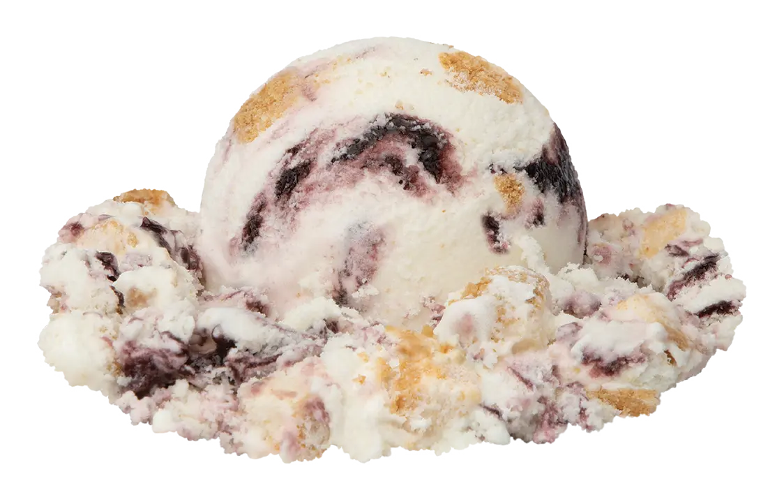 Low Fat Blueberry Cheesecake Yogurt 1