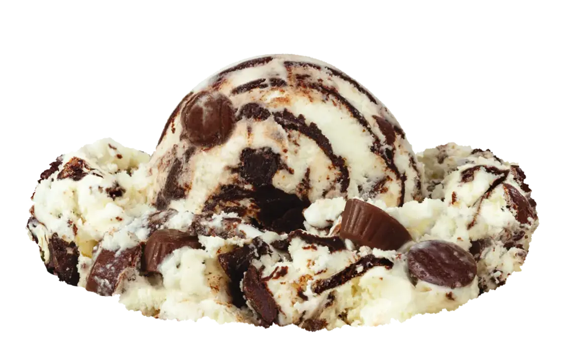 Moose Tracks